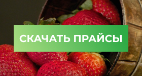 Прайс на фриго