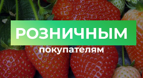 Розница