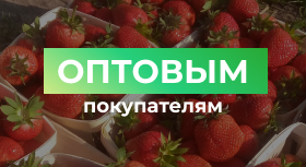 Опт